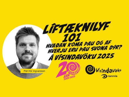 Fyrirlestur-a-visindavoku-pall