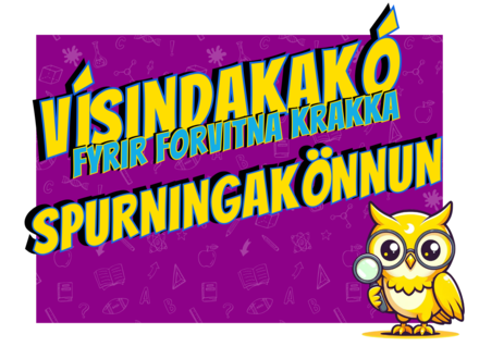 Visindakako-spurningakonnun-mynd-med-grein