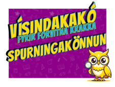 Visindakako-spurningakonnun-mynd-med-grein